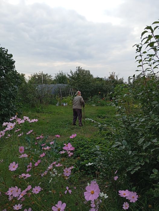 Продам дачу 4 соток.