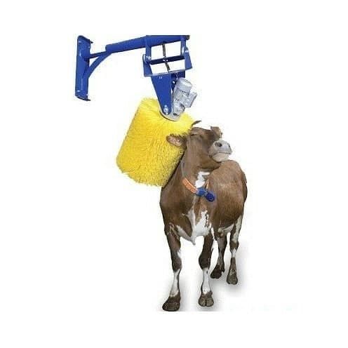 Шотка корамоллар учун