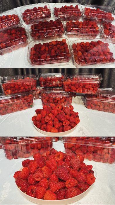 Zmeură proaspătă