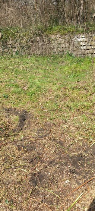 Косене на запуснати терени и дворове