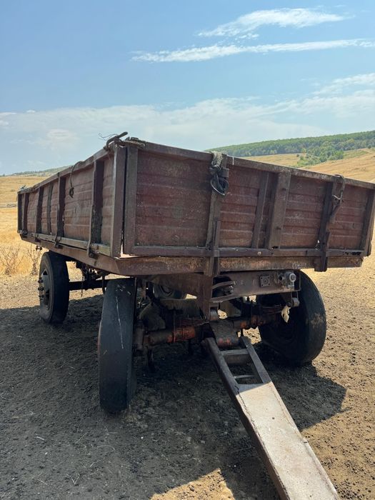 De vânzare țap frumos, oi, remorca, și un portbagaj dubita Fiat ducato
