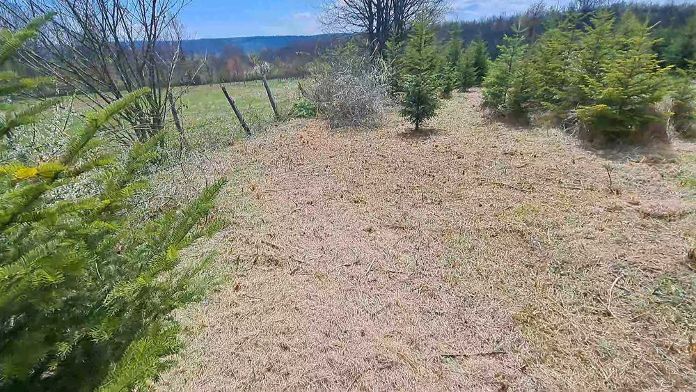 Servicii tocatre crengi/tocare vegetatie