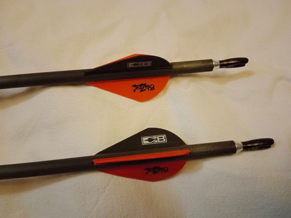 Американски лък компаунд