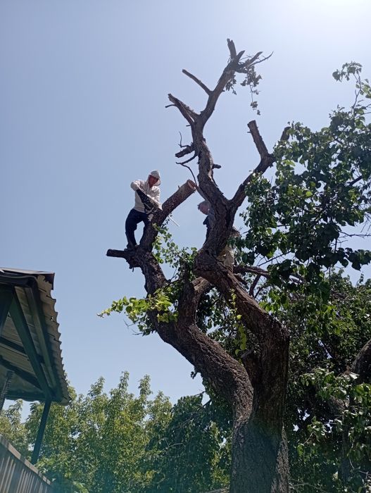 Бригада строителей