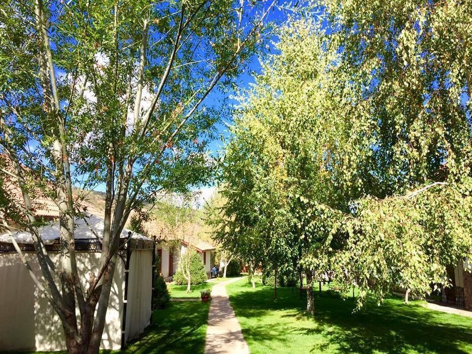 Dacha в Бостанликском район на Чимгане