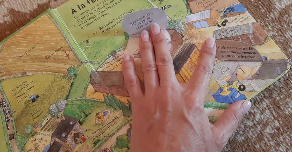 A la ferme Usborne 30 lei