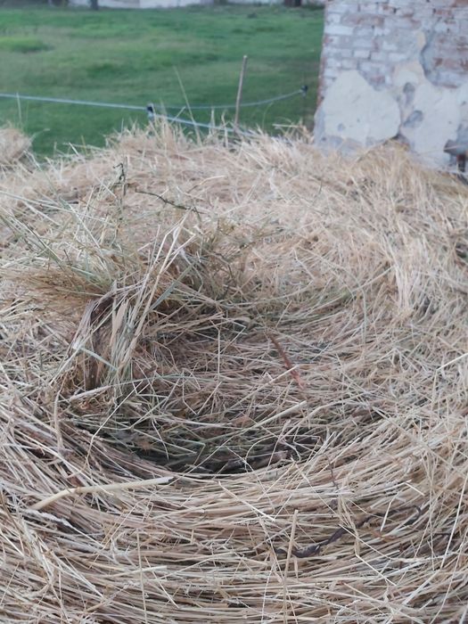 Продавам бали сено и чиста люцерна