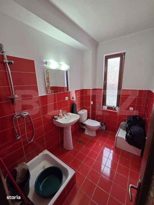 Casa individuala de vanzare cu gradina si curte, Comuna Ciseni, Garcei
