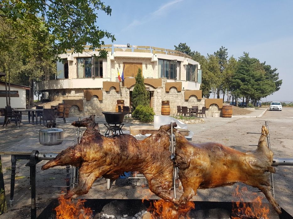 Protap rotisor animale - vitel purcei miei nunti botezuri evenimente