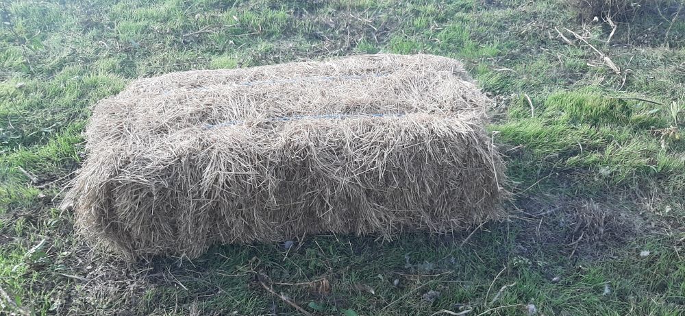 Vand baloti de fan foarte buni.