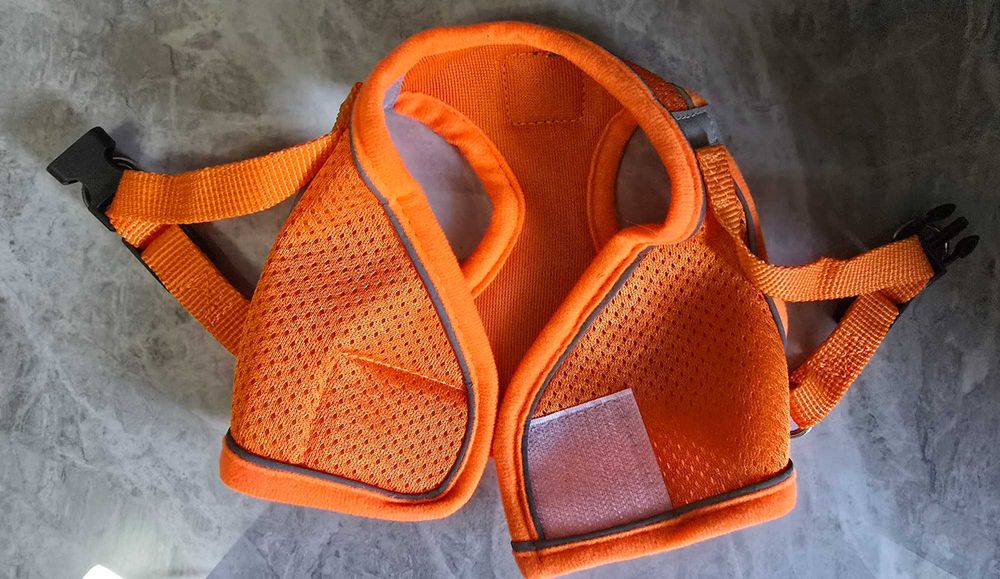 Шлейка с поводком