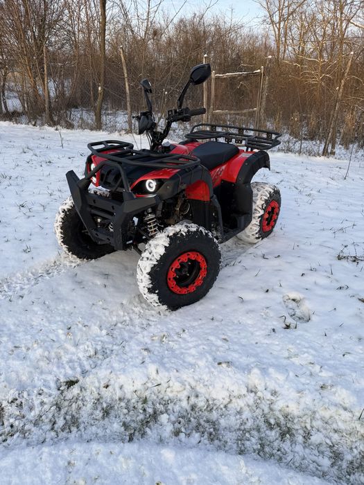 Vand Atv 200cc din 2025