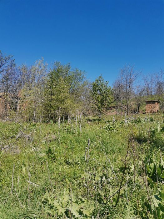 Продава се Парцел в Плевен, Сторгозия - 1375 кв.м за 3 €/кв.м - Снимка #2