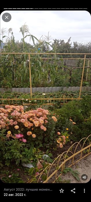 Продам  дачу с домиком в обществе "Лада"