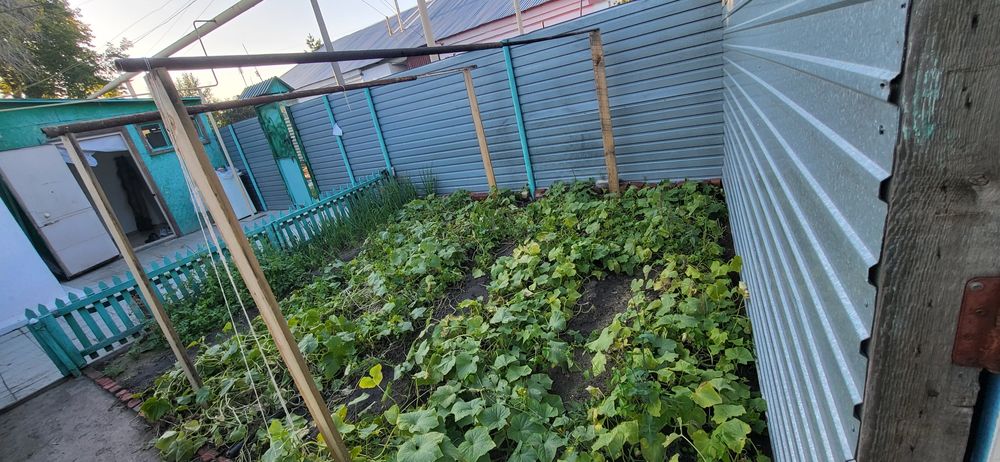 обменяю на квартиру