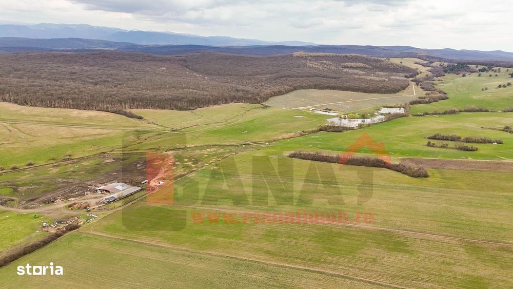 Teren premium  – 20.000 mp | Sura Mica | Locatie exceptionala |VIDEO