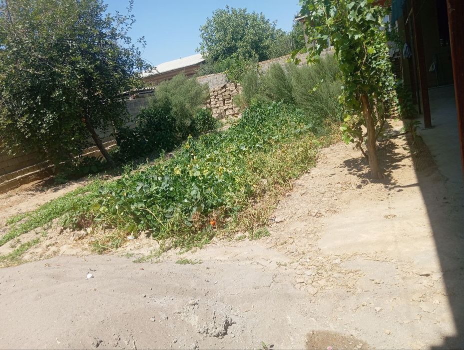 Yer Sotiladi 3 sotik. 1 sotigi 15000$