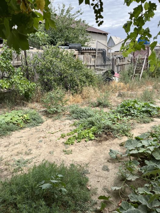 Дача Сот "Химик"