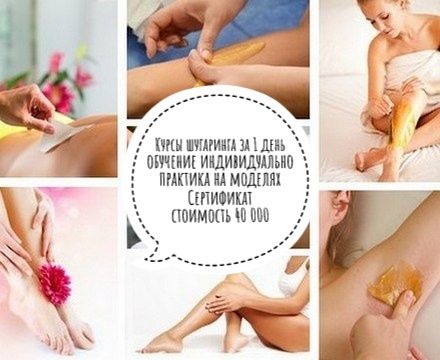 Курсы! Курсы! Курсы!