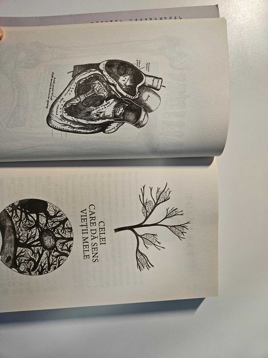 „Sărmane creaturi” – Alasdair Gray (Editura Polirom)