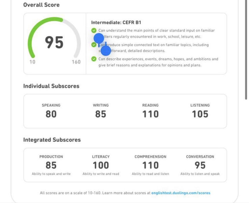 Помощь при сдаче Duolingo English Test