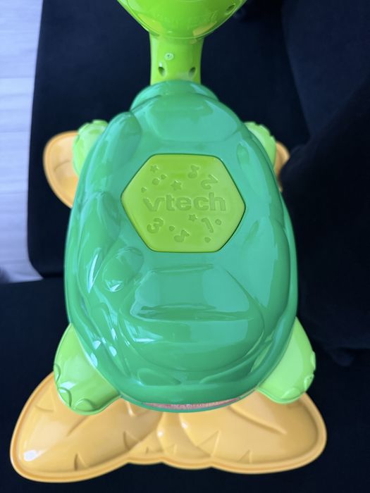 Broscuta saltareata vtech