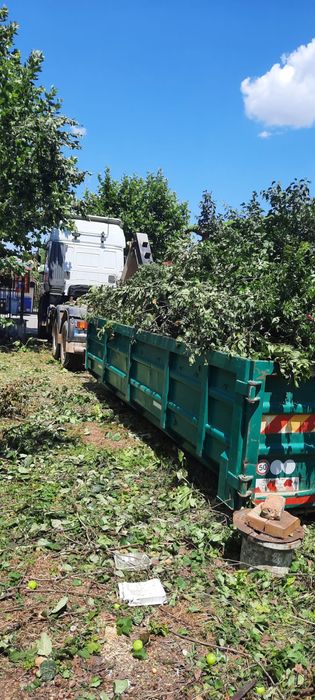 Evacuari moloz amenajari curți