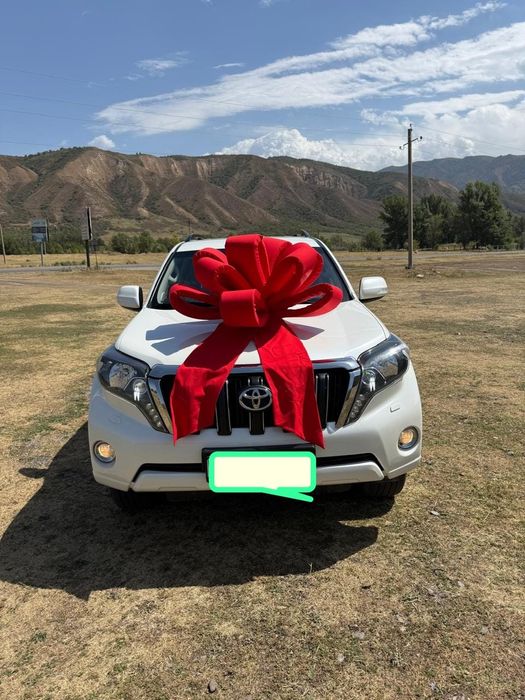 Подарочный бант, тент на машину-6000