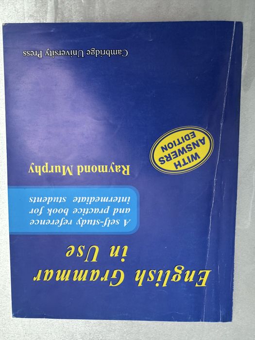 Raymond Murphy Blue (English Grammar in Use)