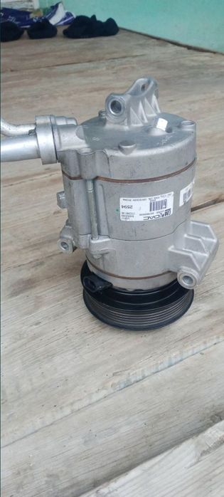 Kandisaner Kaptiva malibga koʻbit  neksiya jentra bor