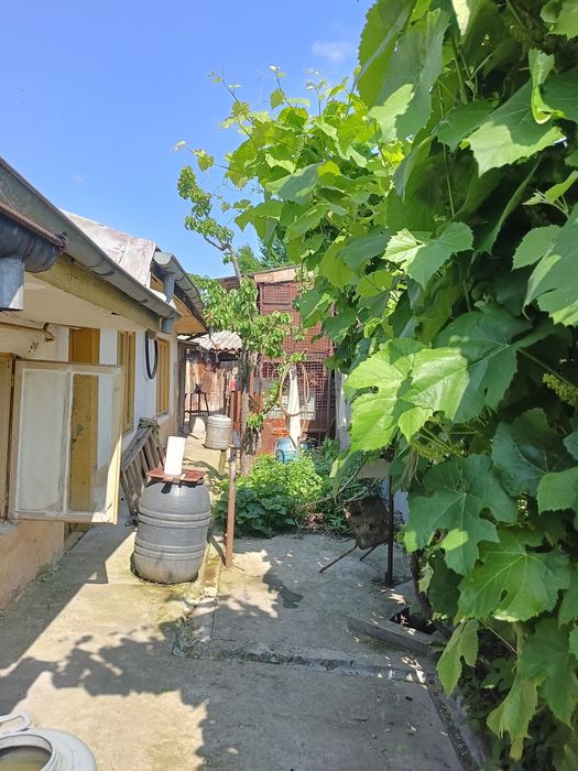 Vând casă str. Vasile Alecsandri. Nr. 7
