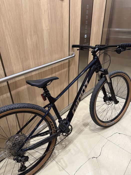 Giant talon 0 2026
