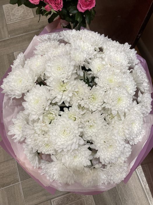 Кустовые хризантемы