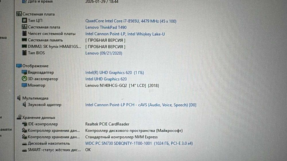 Lenovo ThinkPad T490