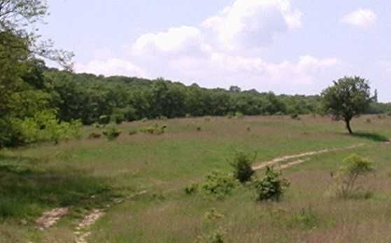 Продава се Парцел в София, Гео Милев - 9842 кв.м за 14 €/кв.м - Снимка #2