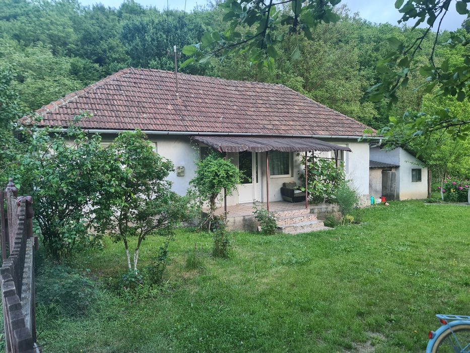 Vand casa cu gradina