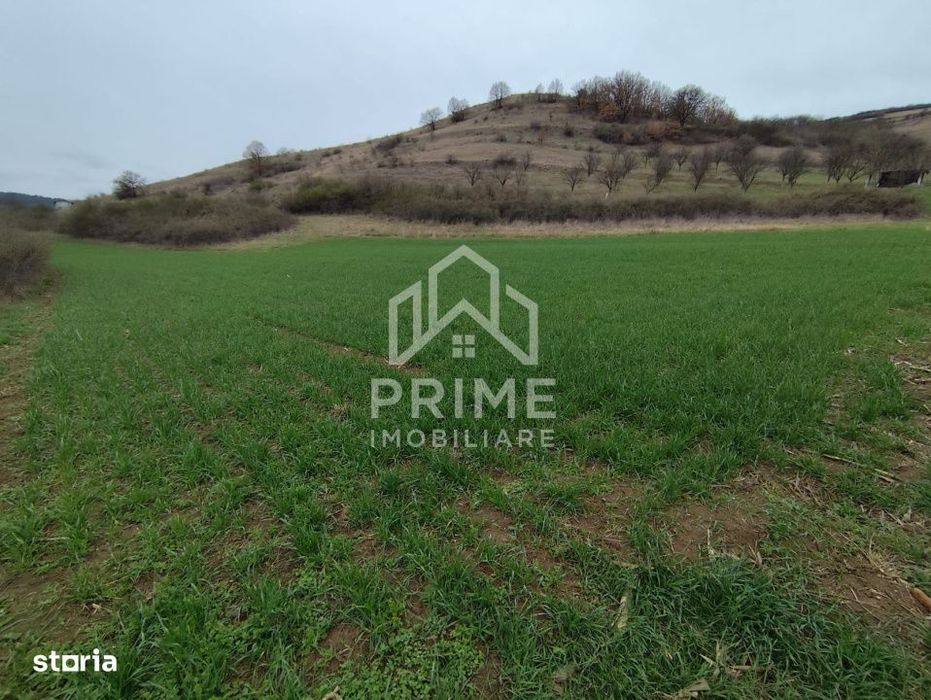 Teren Intravilan 1.200 mp| zona Parau lui Mihai