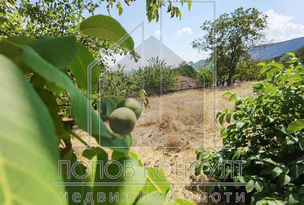 Продава се Парцел в Куклен - 1363 кв.м за 45 €/кв.м - Снимка #3