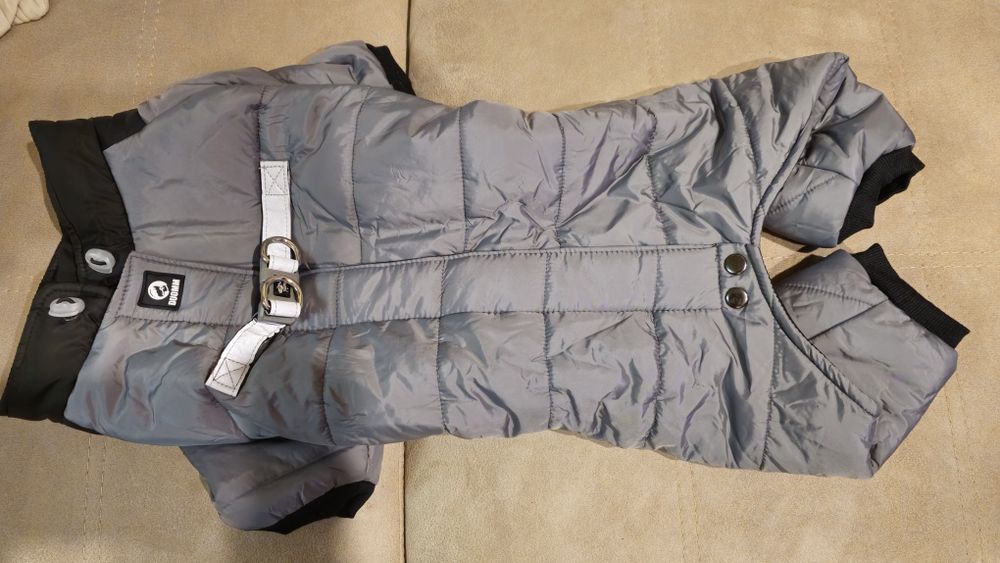 Гащеризон, яке за куче