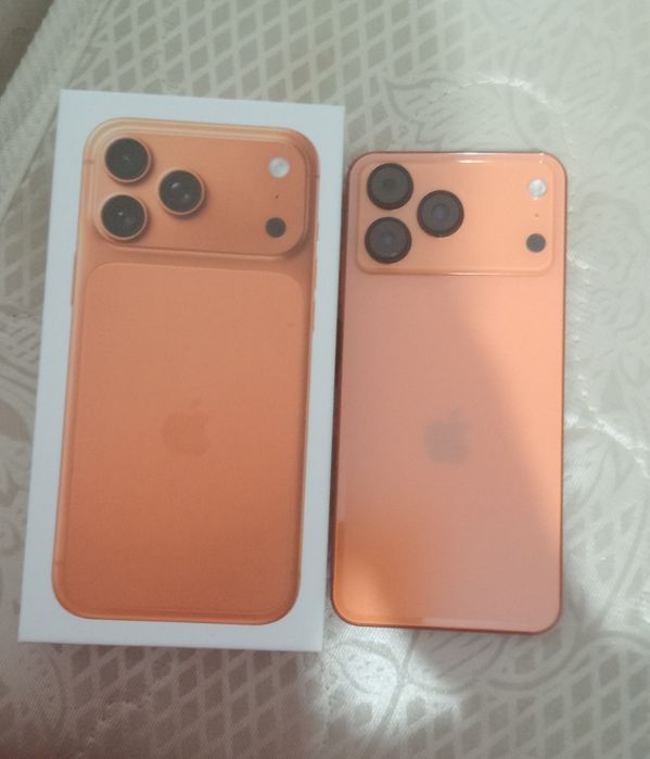 17 про макс сатылады