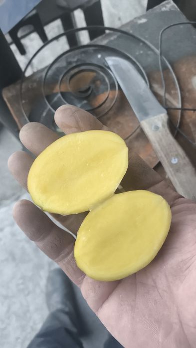 Семейной картофель Коломбо