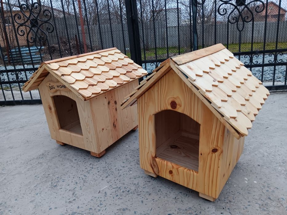 Cusca adăpost câine pisica bichon