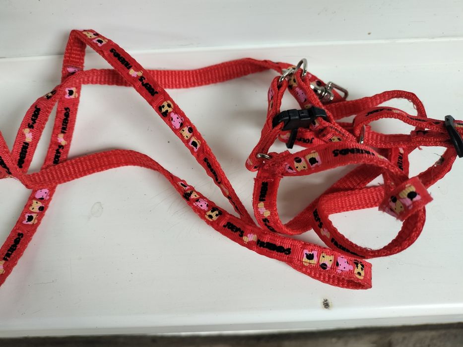 Шлейка - поводок для кошки