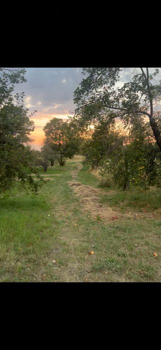 Сдам в аренду землю 2га