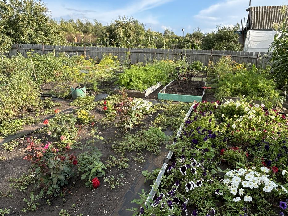 Продам дачу, Сады-1