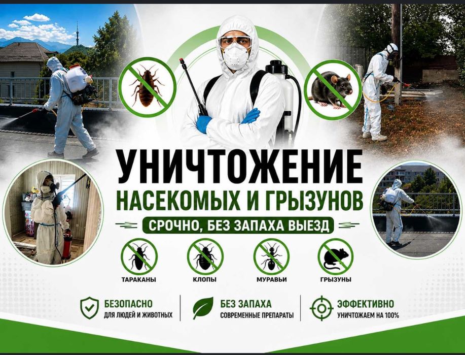 Тараканы клопы ГАРАНТИЯ 24/7