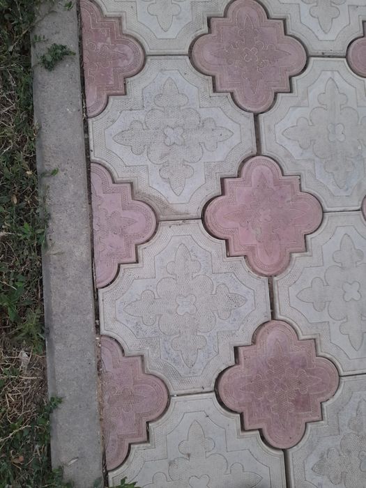 Бручатка сатылады