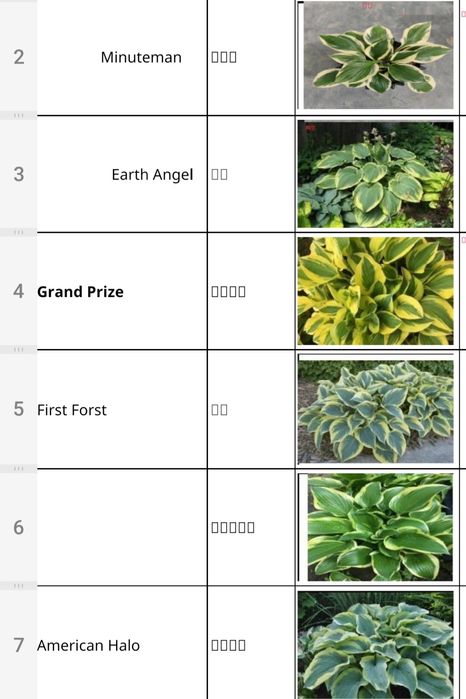 Хитойдан тугридан-тугри биринчи кул кучатлар