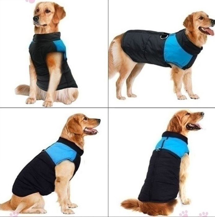 Продается жилет для собак Размеры 2xl.
РАЗМЕРЫ 2XL