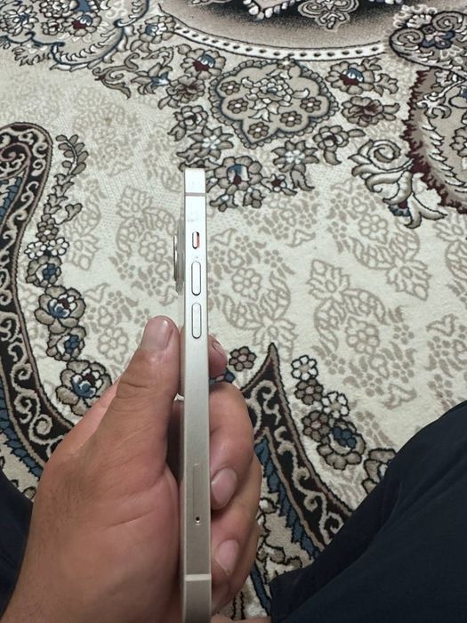 Iphone 13 ideal.